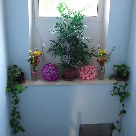 Asian Rest House B&B